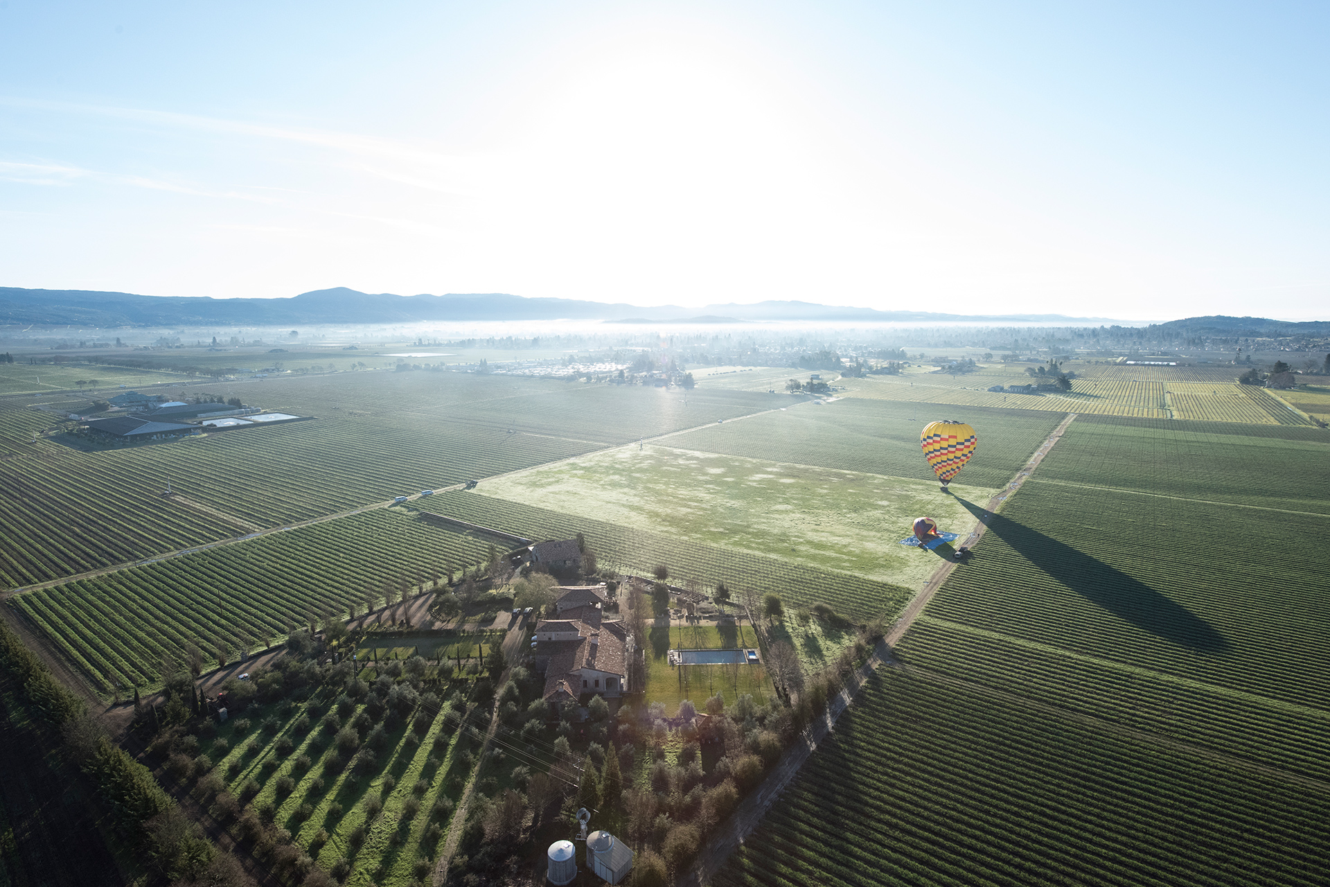 Napa Valley (2016) Napa Valley (2016)